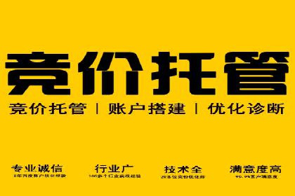 竞价代运营成功案例：快速占领市场